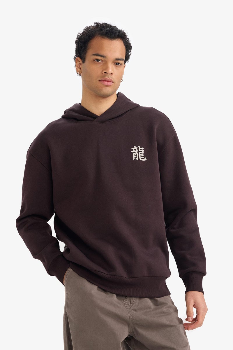 DeFacto Brown Man Boxy Fit Printed Long Sleeve Hoodie Casual - Image 3